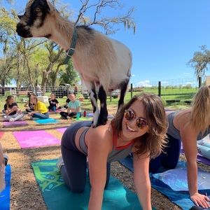 Meet your Posher, Kelsey